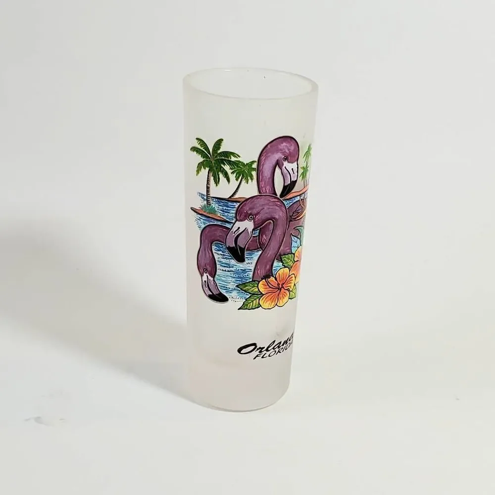Collectible Shot Glasses Orlando Florida 4